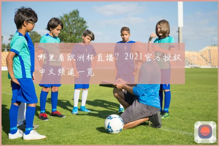 哪里看欧洲杯直播？2021官方授权中文频道一览